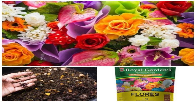 vitaminas para flores