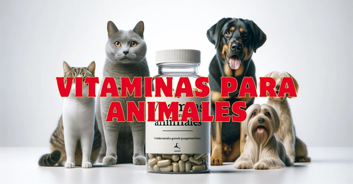 vitaminas para animales en general
